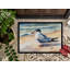 Paillasson Tern-95595571