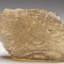 Genuine Libyan Desert Glass (57.3 Grams)