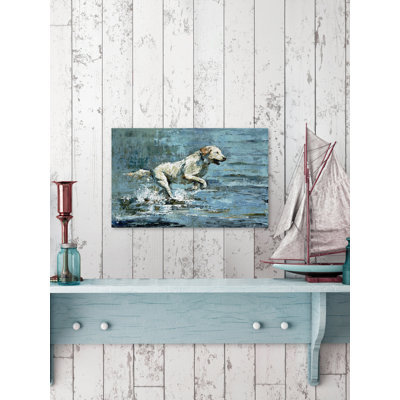 " Dog Splashing "