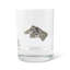 Whiskey Glass