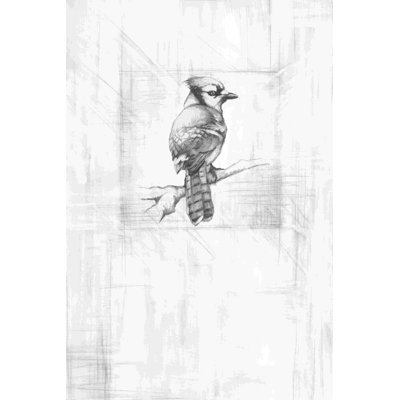 Sketchy Bird On Pencil Paper - Wrapped Canvas Painting