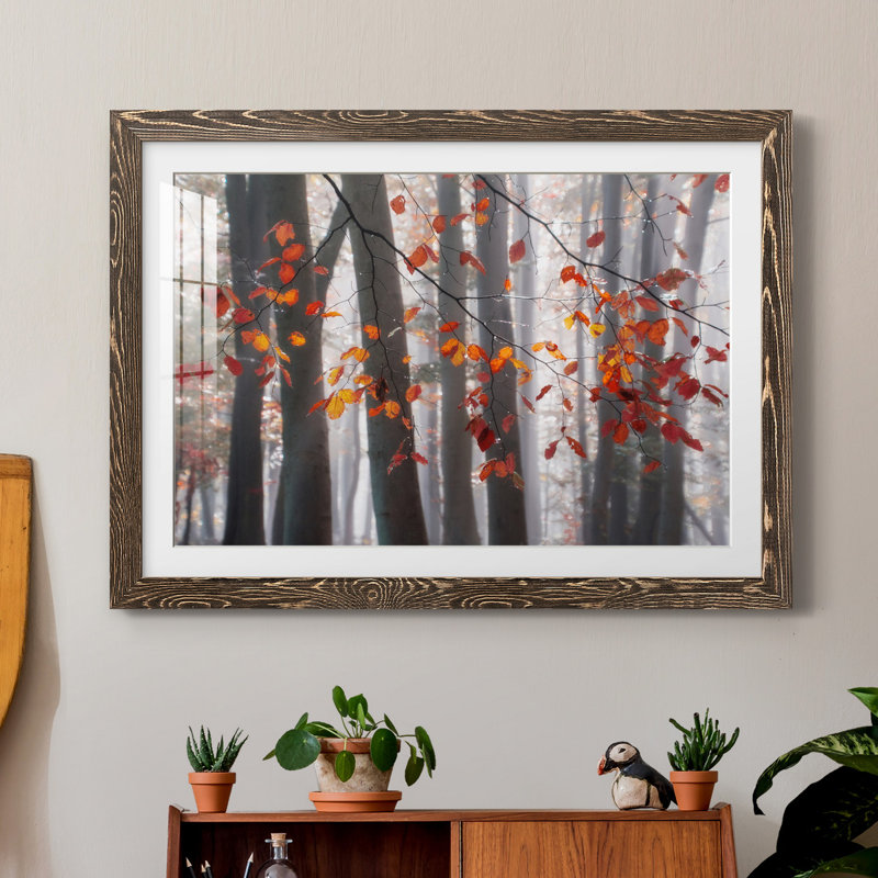 Falling Moments - Reproduction de photo sur papier encadrée, Papier, cadre noyer, H 31,5 po x l 23,5 po x P 1,5 po