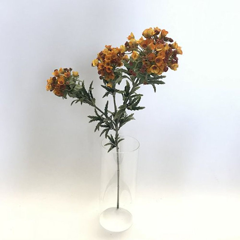 Arrangement floral Sweet Allysum dans un vase