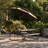 Carmille Rectangular Outdoor Picnic Table , 71 " W 71 " D