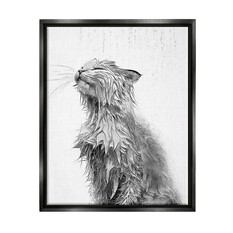 Éclaboussure de chat, H 21 po x l 17 po x P 1,7 po, Cadre flottant noir de jais