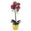 50 cm H Faux Foliage Plant in Plastic Pot Liner-101685269