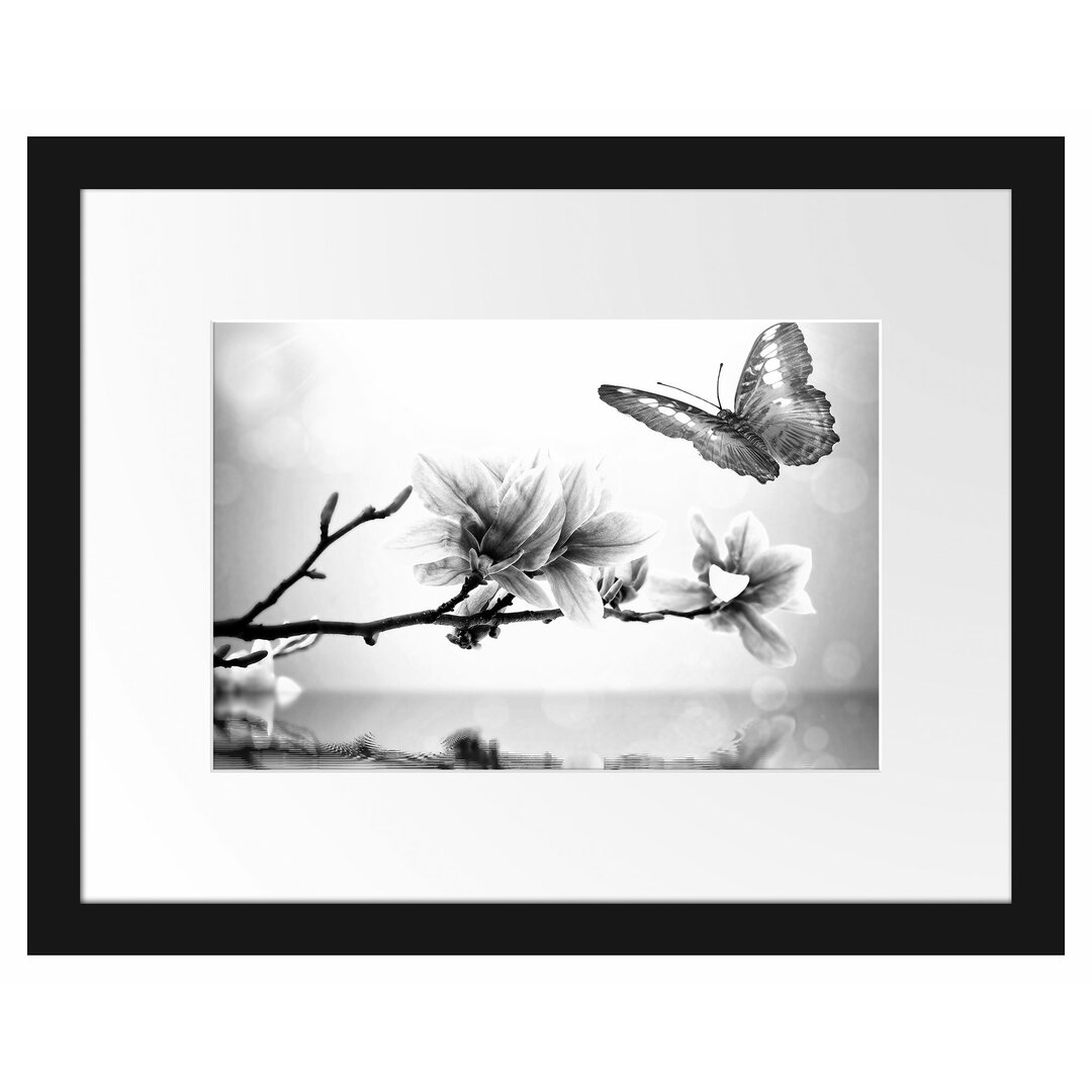 Gerahmtes Poster Schmetterling mit Magnolien-Blüte