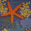 Tapis tissé à la machine 5 pi x 7 pi bleu et orange Starfish