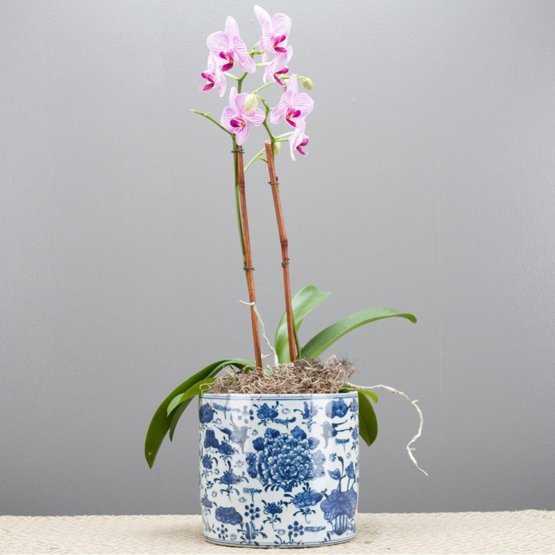 Handmade Ceramic Planter