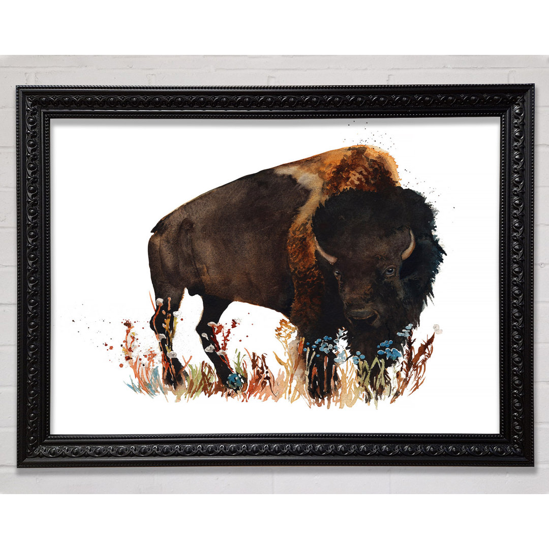 Bison Love - Einzelner Bilderrahmen Kunstdrucke