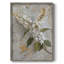 Reproduction encadrée FLORAL Series CCXLIX - bois massif-1790130376