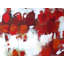 Fire And Ice Print by Elizabeth Chapman-65825572-65850115