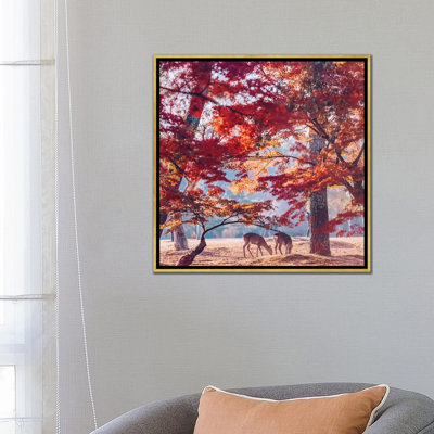 " Autumn Sunrise In Nara " Print