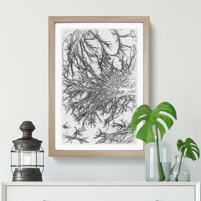 Tree Branches in Central Park New York in Abstract - Picture Frame Graphic Art Print