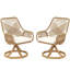 Ensemble de 2 chaises d'extérieur, chaises pivotantes