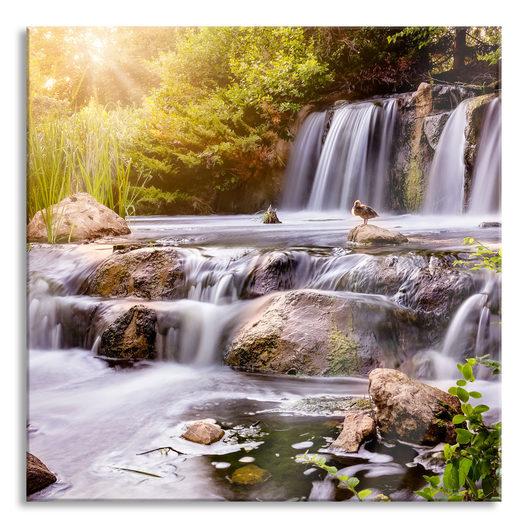 Glasbild Wasserfall