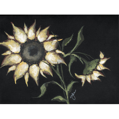 Tournesol sur fond noir sur toile par Julie Norkus