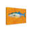 Kaior 'Bluefish' Graphic Art Print on Wrapped Canvas-27489353