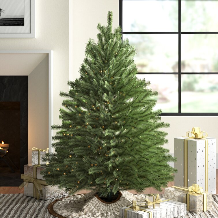 Downswept Douglas 4.5' Green Fir Christmas Tree with 450 Clear/White Lights