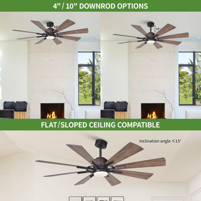 Steelside™ Lisa 60'' Ceiling Fan with LED Lights & Reviews | Wayfair