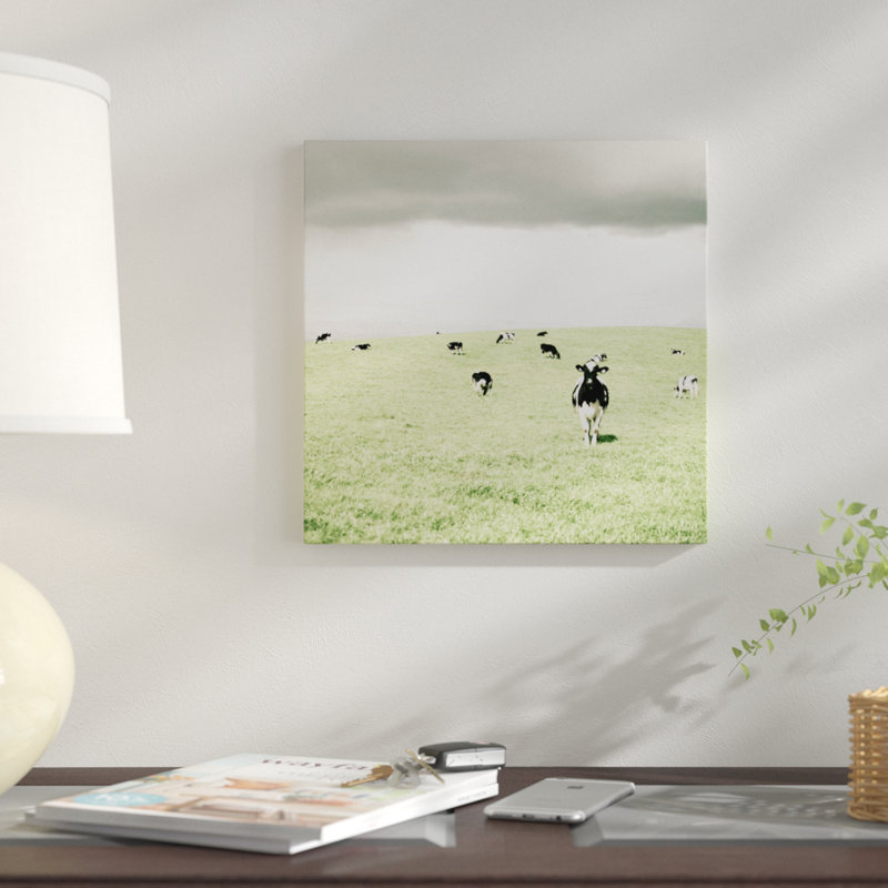 « curieux vaches », reproduction de photo sur toile, H 12 po x l 12 po x P 0,75 po, Toile tendue, Pas de tapis