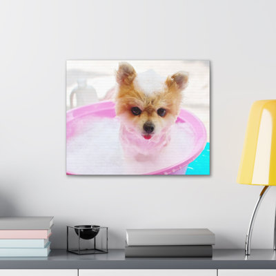 Funny Pomeranian Bath Canvas Wall Art