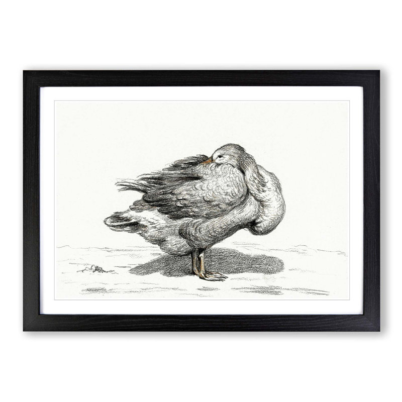 Goose by Jean Bernard - Picture Frame Drawing Print, Black Framed, 36cm H x 48cm W x 2cm D