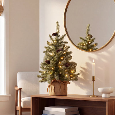 2ft. Winter Cloud Fir Christmas Tree with LED Lights