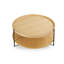 Aunica Three Leg Coffee Table-1456419262