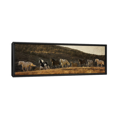 Coming Around The Mountian by Rhonda Thompson - Floater Frame Panoramic Print on Canvas