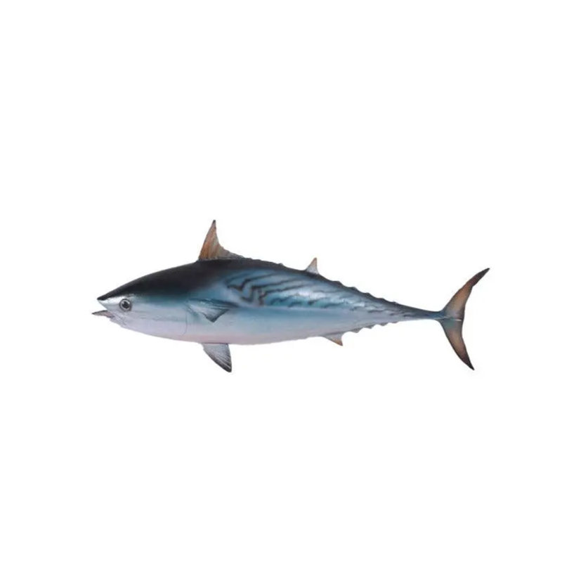 Mackerel Tuna Statue