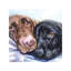Friends by George Dyachenko - Painting on Canvas-1125305136-1187537110