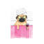 Pug Bath by Rongrong DeVoe - No Frame Painting on Canvas-42155445