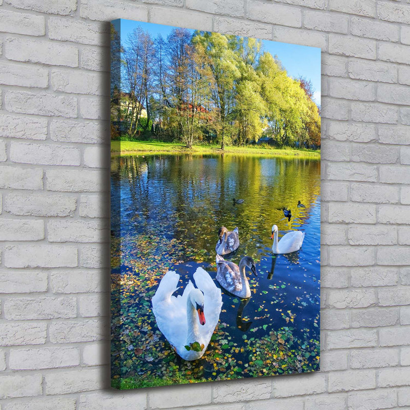 Swans On The Pond - Wrapped Canvas Print