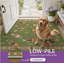 Tapis d'intérieur multicolore à bordure antidérapante et fantaisiste-128992391