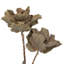 14'' Plant