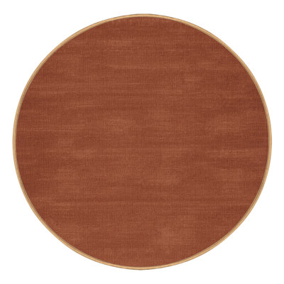 Machine Washable Solid Brown Area Rug