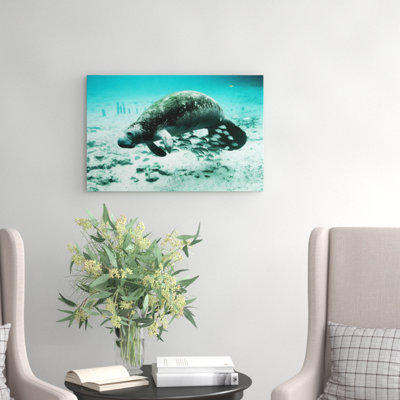 Manatee Photographic - Wrapped Canvas