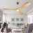 52''  Natual Wood Colour 3-Blade Ceiling Fan with LED Lights with Remote App Control Silver  Fan Body-88202010-88202008