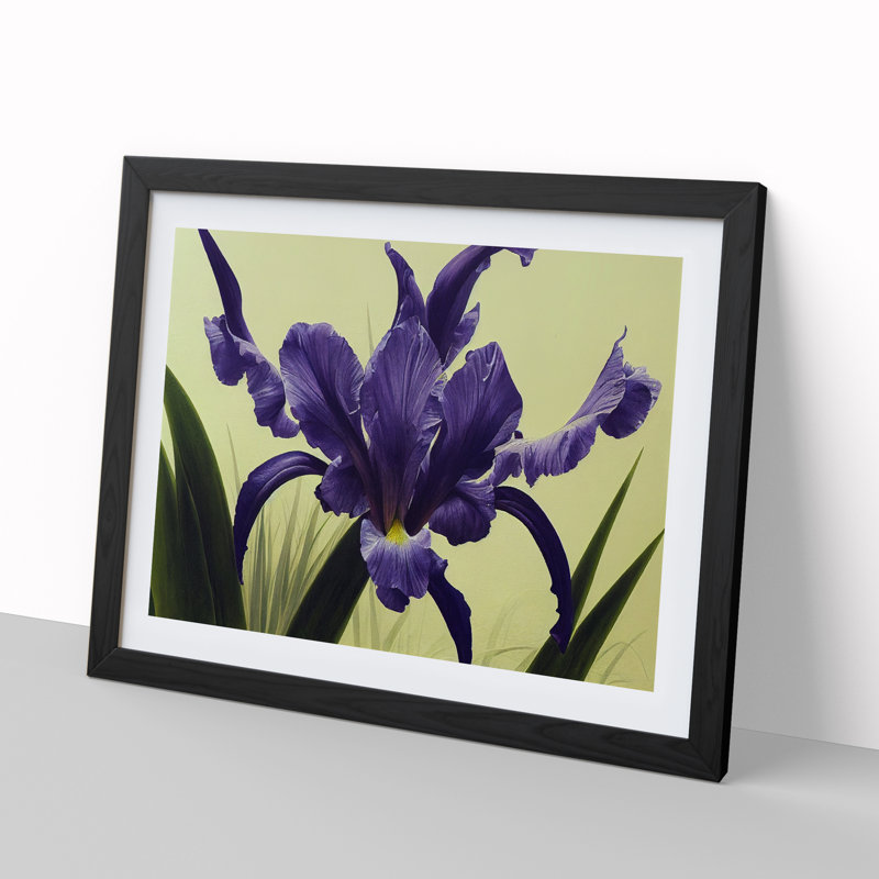Cute Iris Flowers - Framed Print, Black, 46cm H x 64cm W x 2cm D