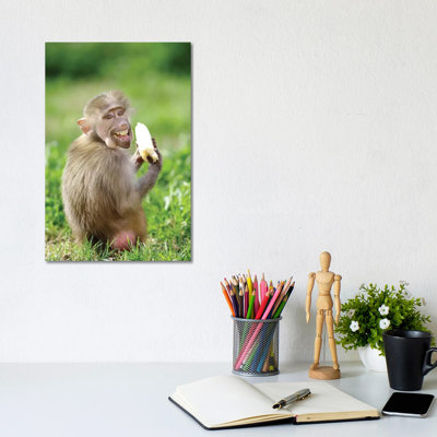 Smiling Monkey by Goran Anastasovski - Wrapped Canvas Print