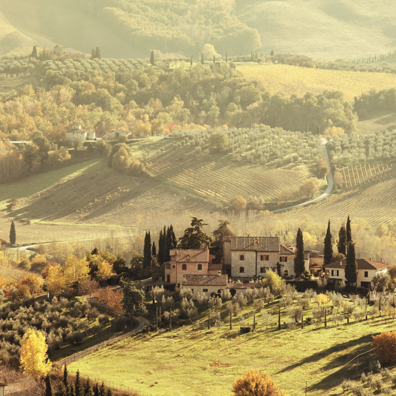 Farm In Tuscany - Wrapped Canvas Print, 122cm H x 122cm W x 3.8cm D