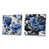 Toile tendue