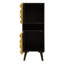 Sanjuana Solid Wood 2 - Door Rectangle Accent Cabinet