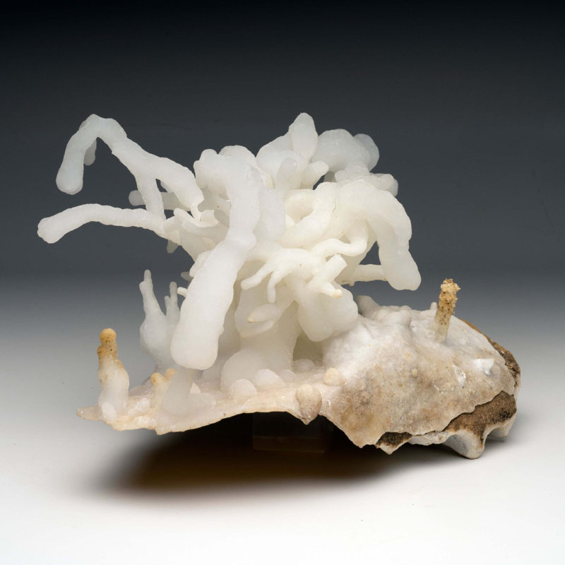 Calcite Stalactites with Druze From China