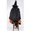 Sitting Witch with Lighted Pumpkin
