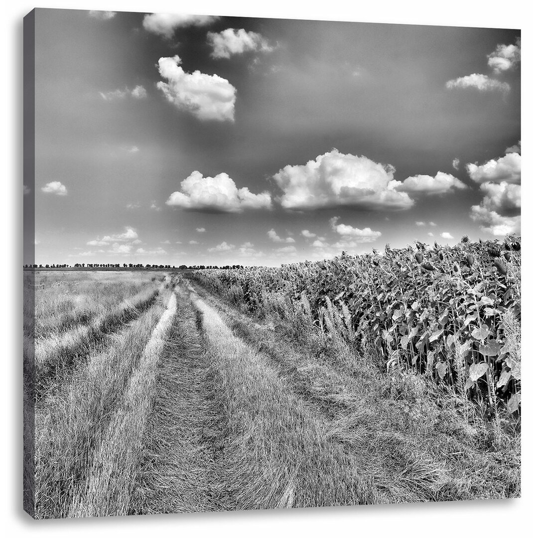 Leinwandbild Feldweg am Wald