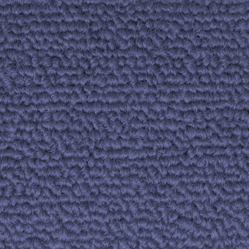 Tapis de porte d’intérieur anti-dérapant Mesirow, Rectangle 4 pi x 8 pi, Bleu