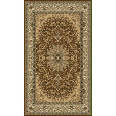 Infinity Oriental Area Rug in Brown