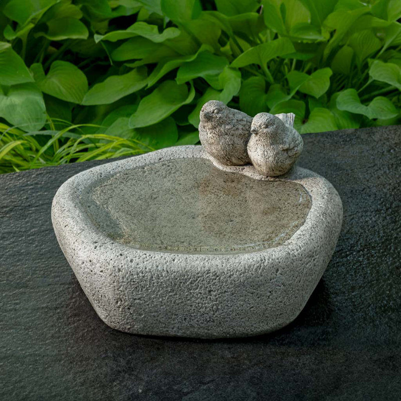 Bain d'oiseaux Woodland Birds